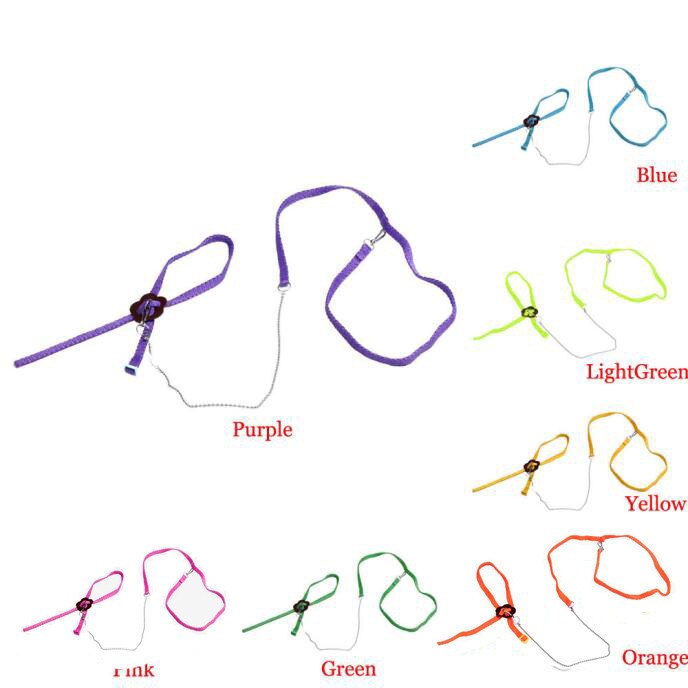 Bearded Dragon Harness Adjustable Leash Bearded Dragon Harness Adjustable Leash
