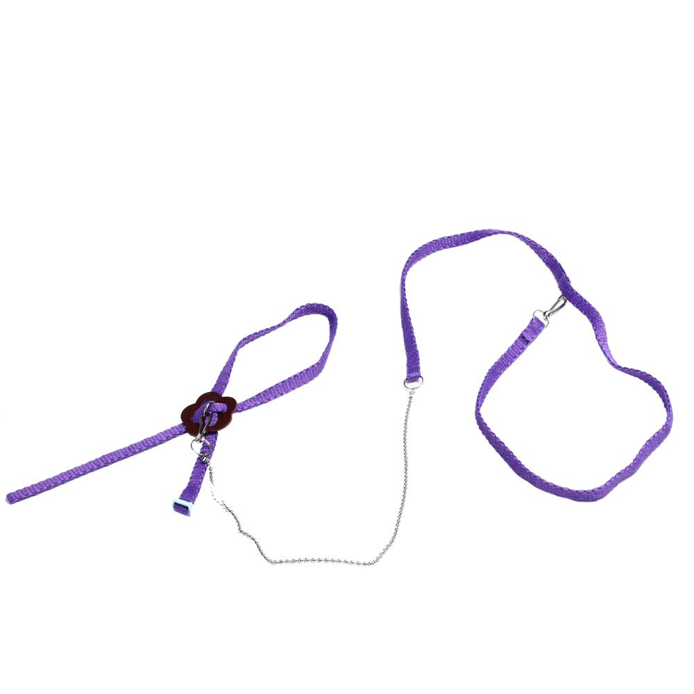 Bearded Dragon Harness Adjustable Leash Bearded Dragon Harness Adjustable Leash