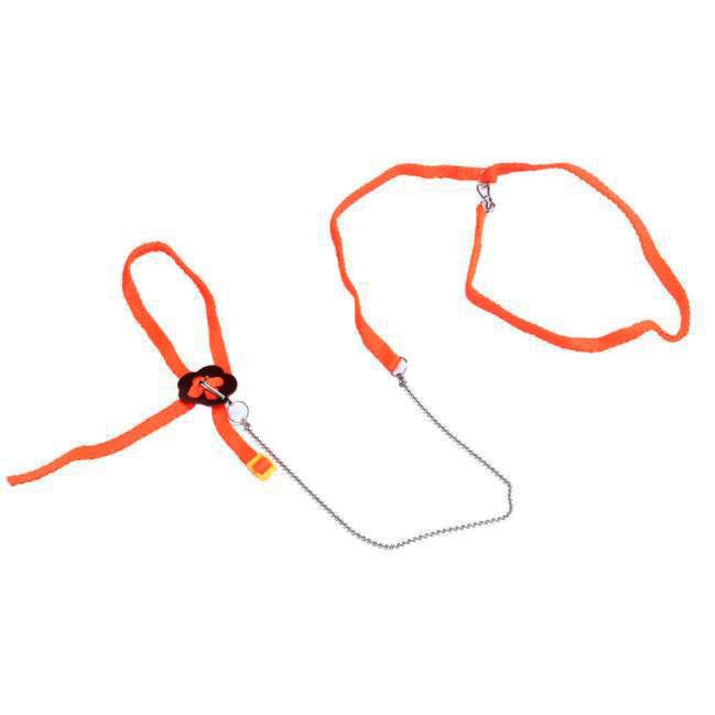 Bearded Dragon Harness Adjustable Leash Bearded Dragon Harness Adjustable Leash
