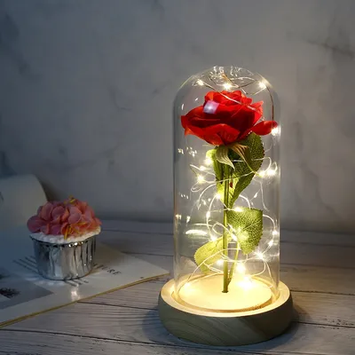 Beauty and the Beast Rose Dome Beauty and the Beast Rose Dome
