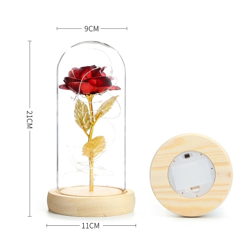Beauty and the Beast Rose Dome Beauty and the Beast Rose Dome