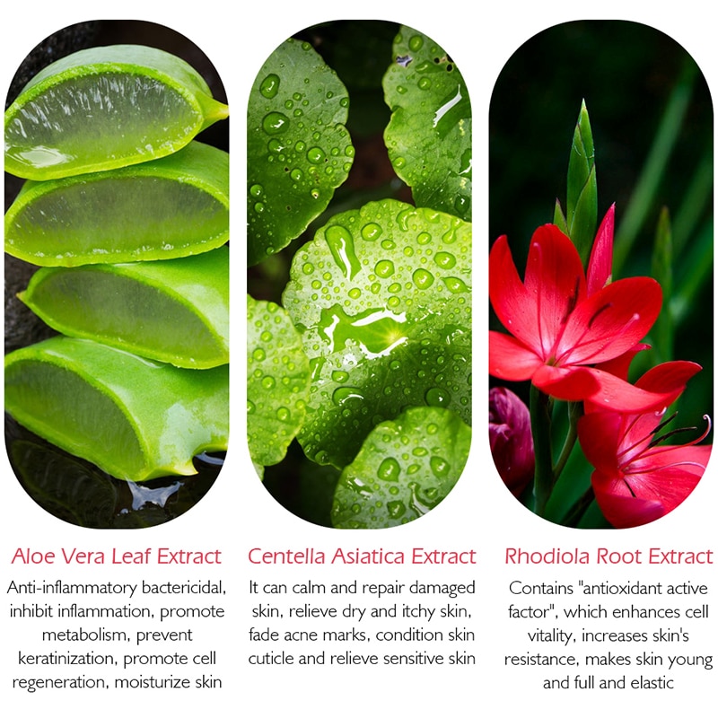Beauty Cream Antioxidant Skin Care