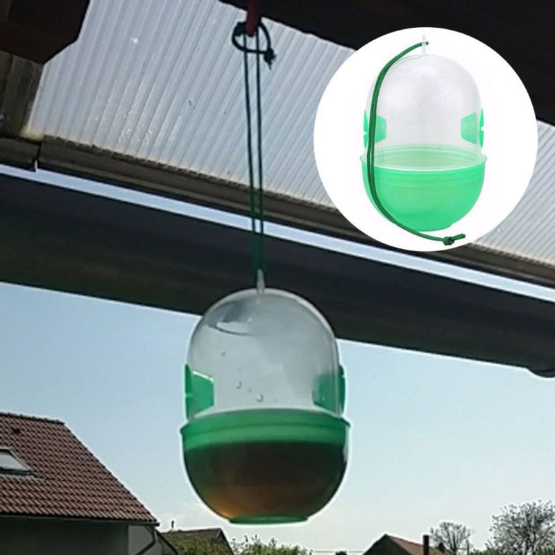 Bee Trap Hanging Insect Catcher Bee Trap Hanging Insect Catcher