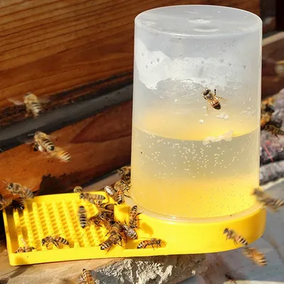 Beekeeping Bee Feeder Honey Bee Feeders Drinking Water Waterer Watering Bees Tools Supplies Feeding Plastic bee Drinker