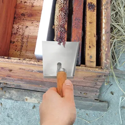 Beekeeping Stainless Steel Pollen Shovel Clean Honey Extractor Flat Hive Clean Scraper Equipment Beekeeper Professional Beekeeping Stainless Steel Pollen Shovel Clean Honey Extractor Flat Hive Clean Scraper Equipment Beekeeper Professional