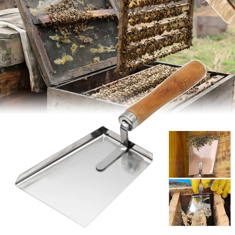 Beekeeping Stainless Steel Pollen Shovel Clean Honey Extractor Flat Hive Clean Scraper Equipment Beekeeper Professional Beekeeping Stainless Steel Pollen Shovel Clean Honey Extractor Flat Hive Clean Scraper Equipment Beekeeper Professional
