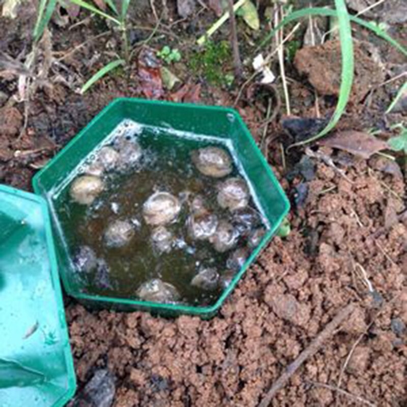 Beer Snail and Slug Trap (8 pcs) Beer Snail and Slug Trap (8 pcs)