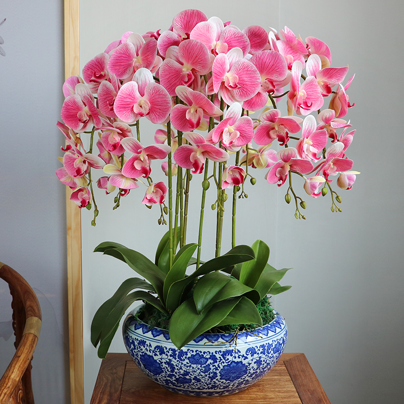Big Realistic Artificial Orchid Flowers Big Realistic Artificial Orchid Flowers