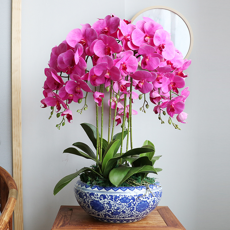 Big Realistic Artificial Orchid Flowers Big Realistic Artificial Orchid Flowers