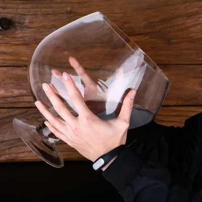 Big Wine Glass 6000ml Capacity Big Wine Glass 6000ml Capacity