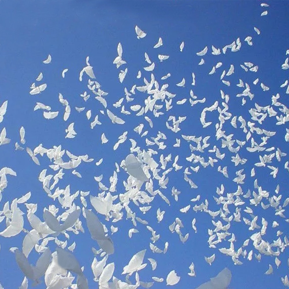 Biodegradable Foil Dove Balloons (20pcs) Biodegradable Foil Dove Balloons (20pcs)