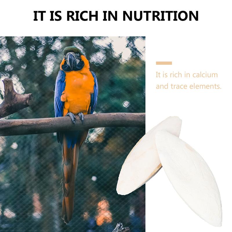 Bird Cuttlebones Chew Toys (10pcs)