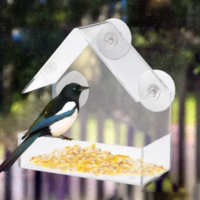Bird Feeder Transparent Glass Sucker Bird Feeder Transparent Glass Sucker