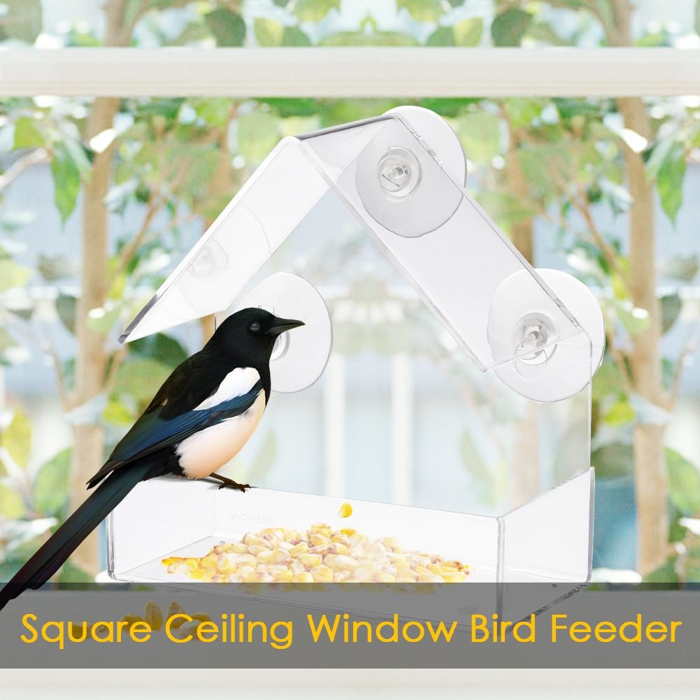 Bird Feeder Transparent Glass Sucker Bird Feeder Transparent Glass Sucker