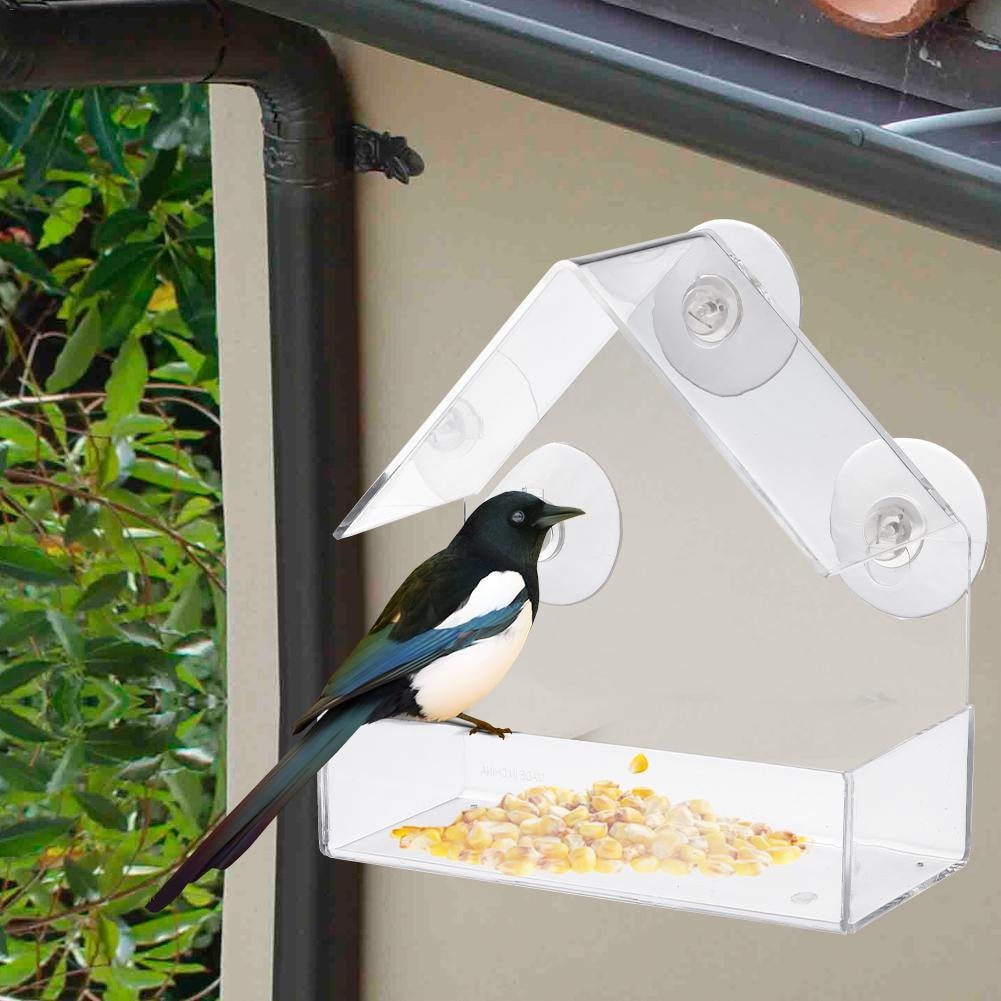Bird Feeder Transparent Glass Sucker Bird Feeder Transparent Glass Sucker
