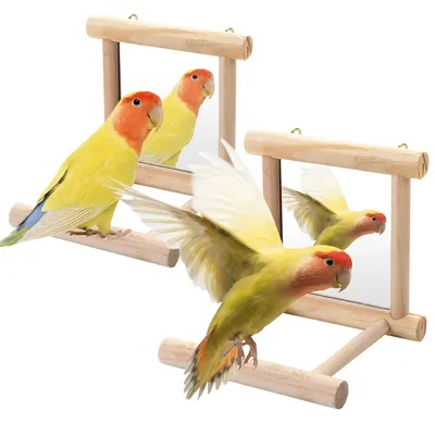 Bird Mirror Pet Wooden Perch
