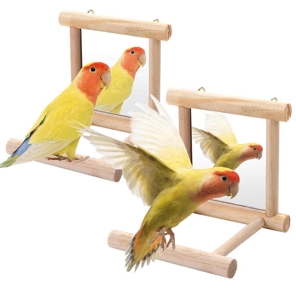 Bird Mirror Pet Wooden Perch