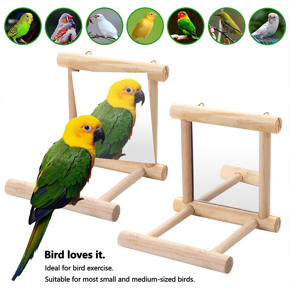 Bird Mirror Pet Wooden Perch