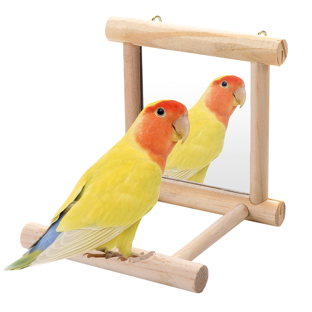 Bird Mirror Pet Wooden Perch
