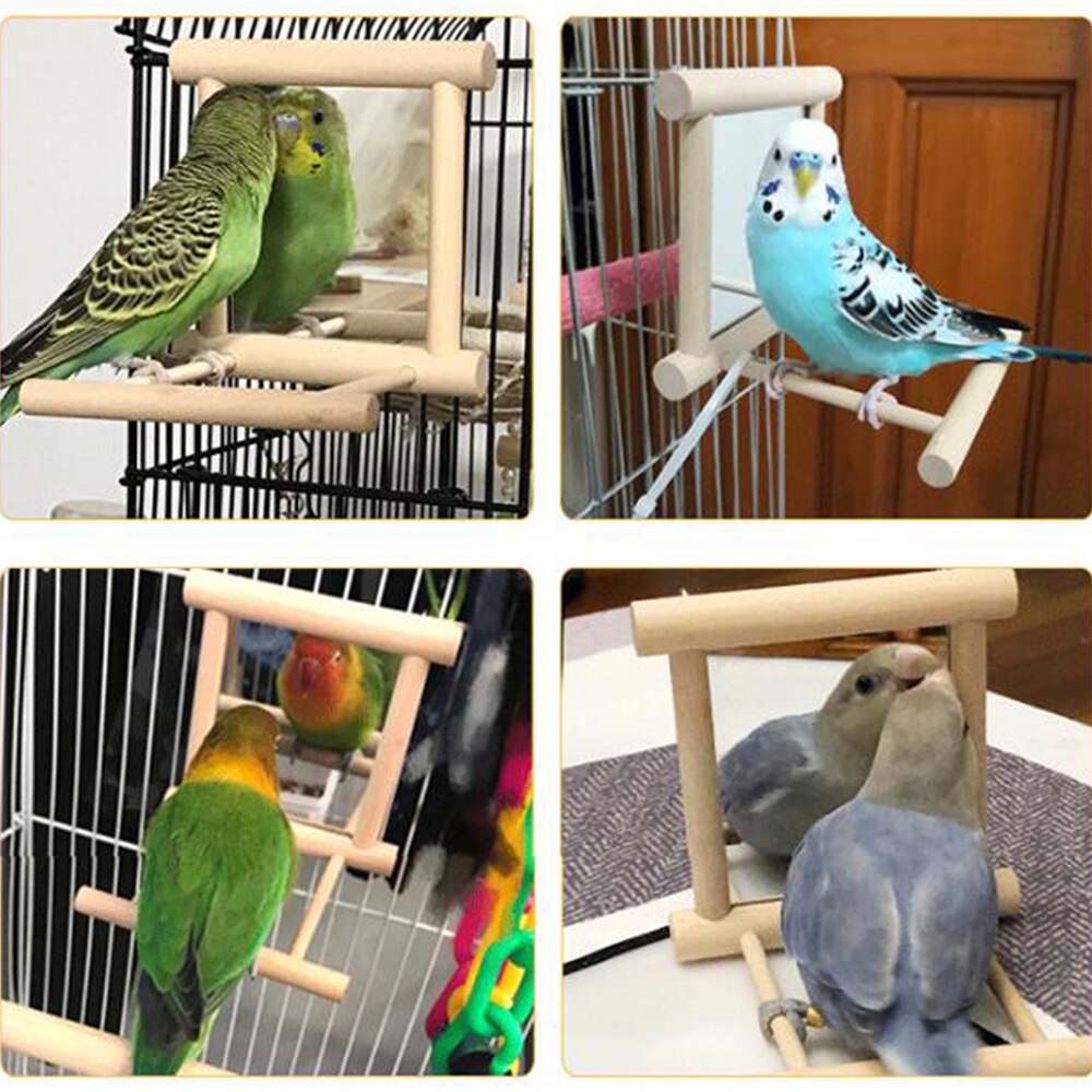 Bird Mirror Pet Wooden Perch