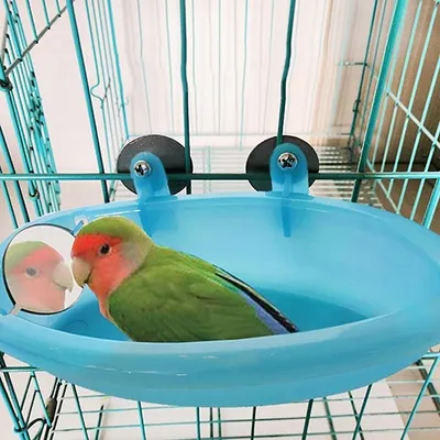 Birdcage Bath Mirror Shower Basin