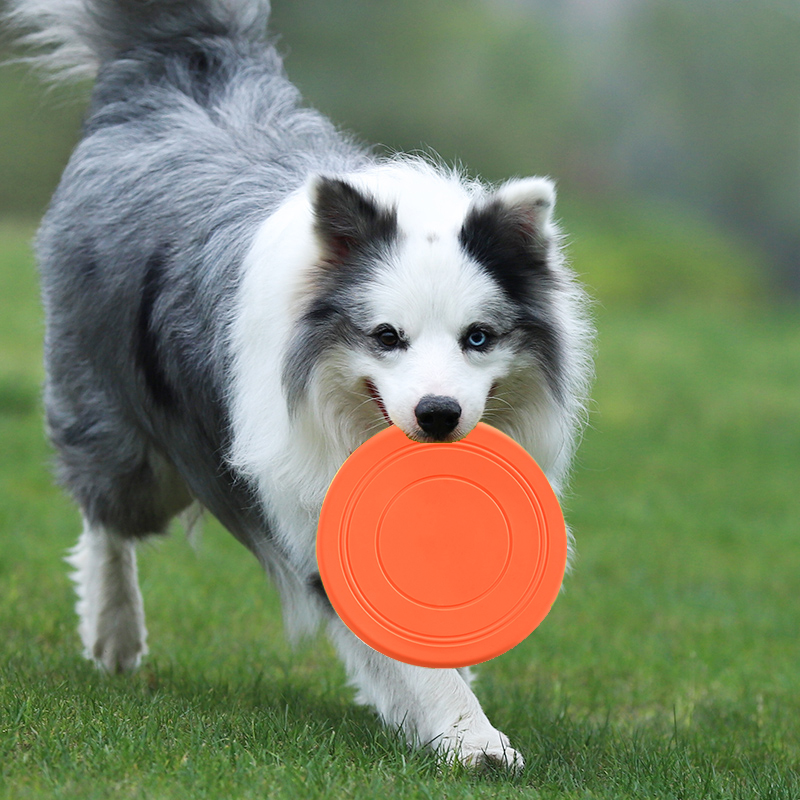 Bite Proof Silicone Frisbee Pet Toy