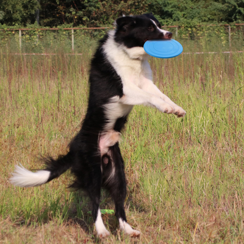 Bite Proof Silicone Frisbee Pet Toy