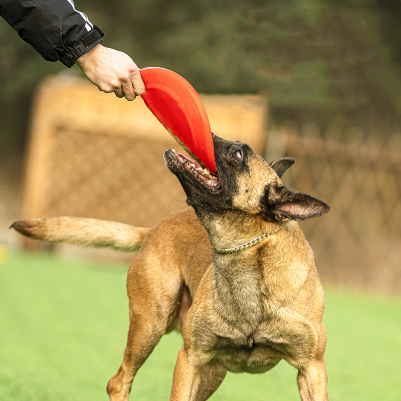 Bite Proof Silicone Frisbee Pet Toy