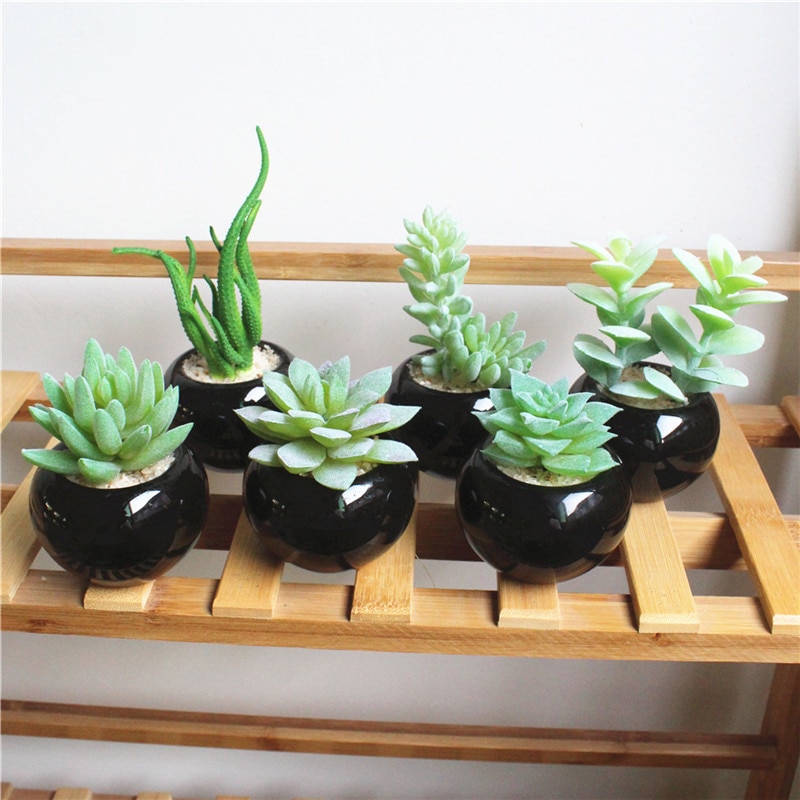 Black Ceramic Fake Succulents in Pot