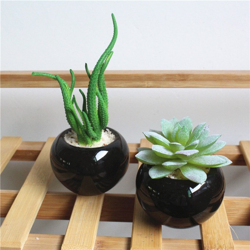 Black Ceramic Fake Succulents in Pot