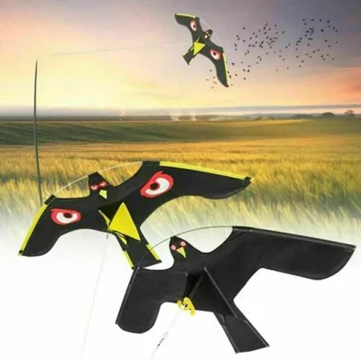 Black Hawk Kite Bird Scarer