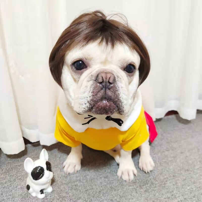Bob Cut Pug Wig with Bangs