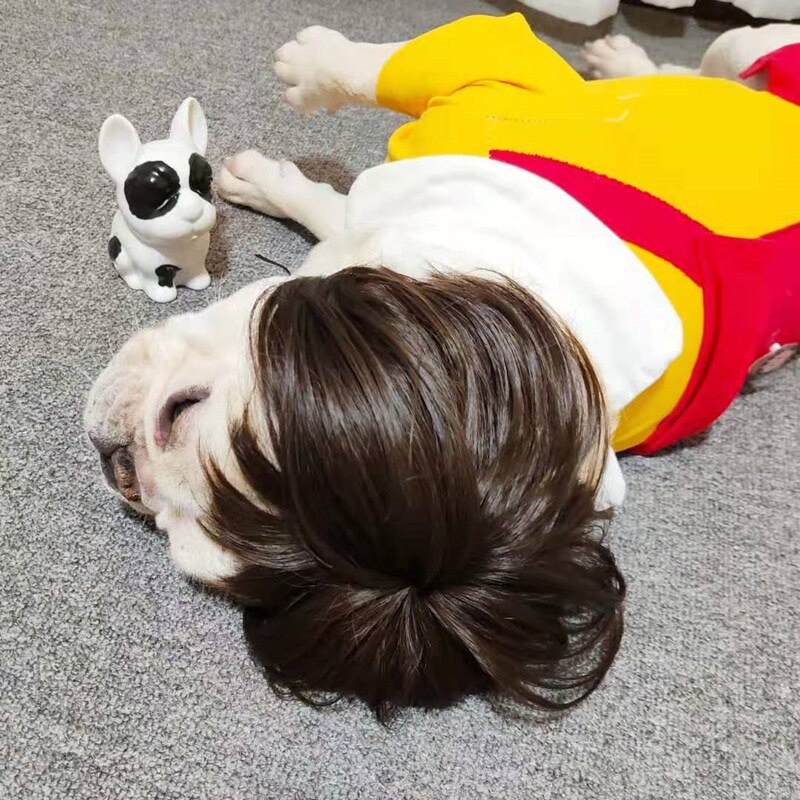 Bob Cut Pug Wig with Bangs