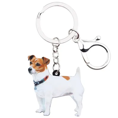 Bonsny Acrylic Cute Jack Russell Dog Keychains Trendy Animals Key Chain Ring Charms Car Purse Jeweley For Women Girls