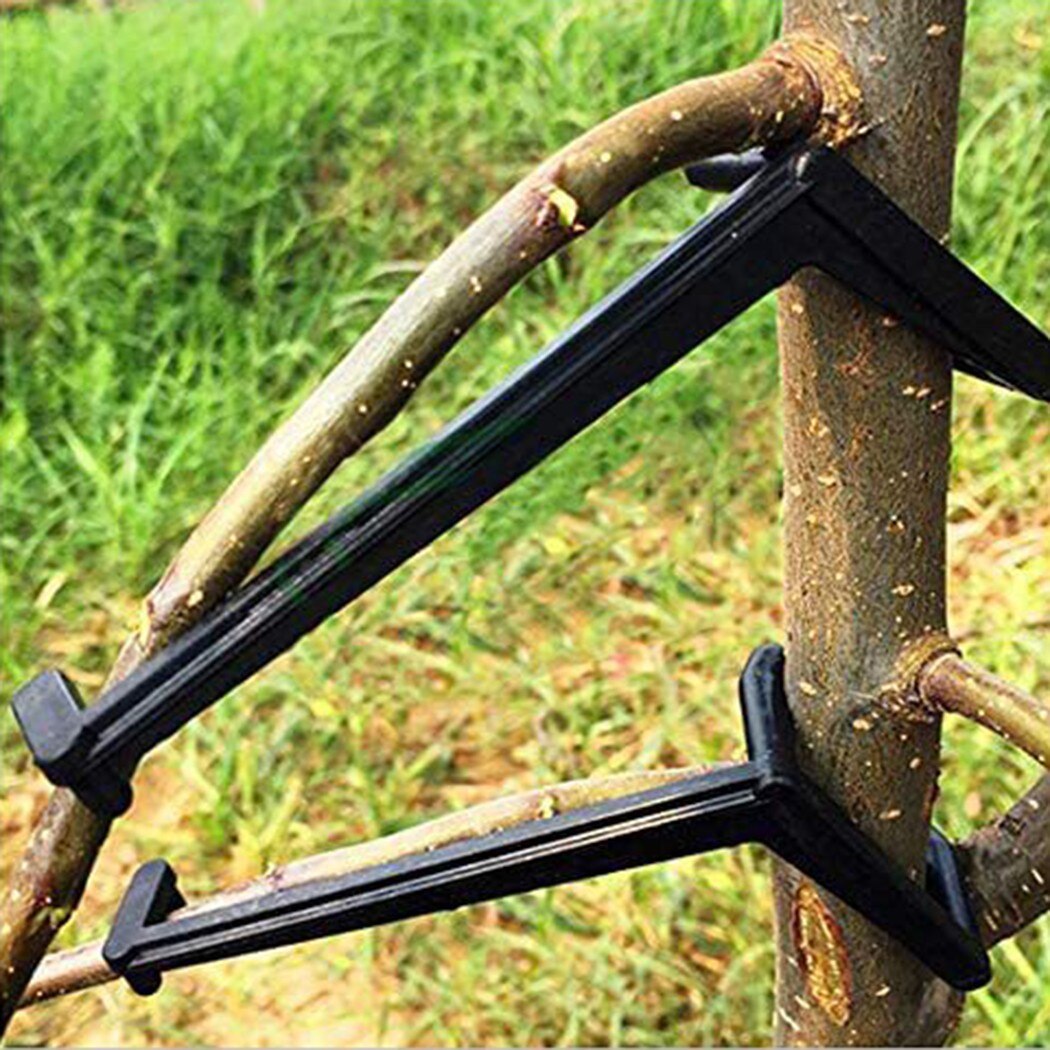 Branches Tree Limb Spreaders (20 pcs) Branches Tree Limb Spreaders (20 pcs)