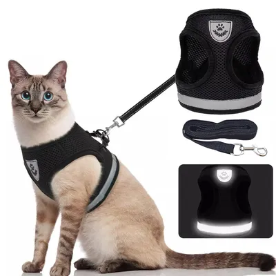 Breathable Cat Harness And Leash Escape Proof Pet Clothes Kitten Puppy Dogs Vest Adjustable Easy Control Reflective Cat Breathable Cat Harness And Leash Escape Proof Pet Clothes Kitten Puppy Dogs Vest Adjustable Easy Control Reflective Cat