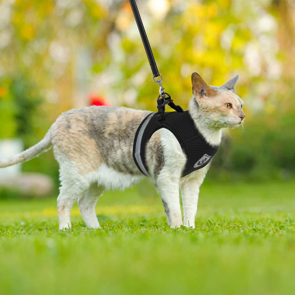 Breathable Cat Harness And Leash Escape Proof Pet Clothes Kitten Puppy Dogs Vest Adjustable Easy Control Reflective Cat Breathable Cat Harness And Leash Escape Proof Pet Clothes Kitten Puppy Dogs Vest Adjustable Easy Control Reflective Cat