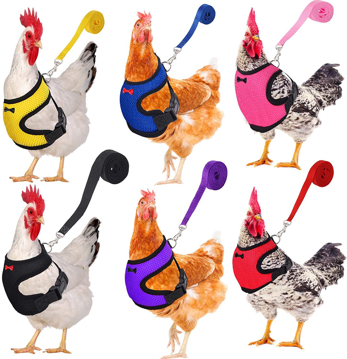 Breathable Chicken Harness and Leash
