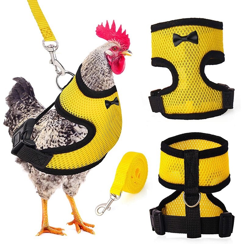 Breathable Chicken Harness and Leash Breathable Chicken Harness and Leash