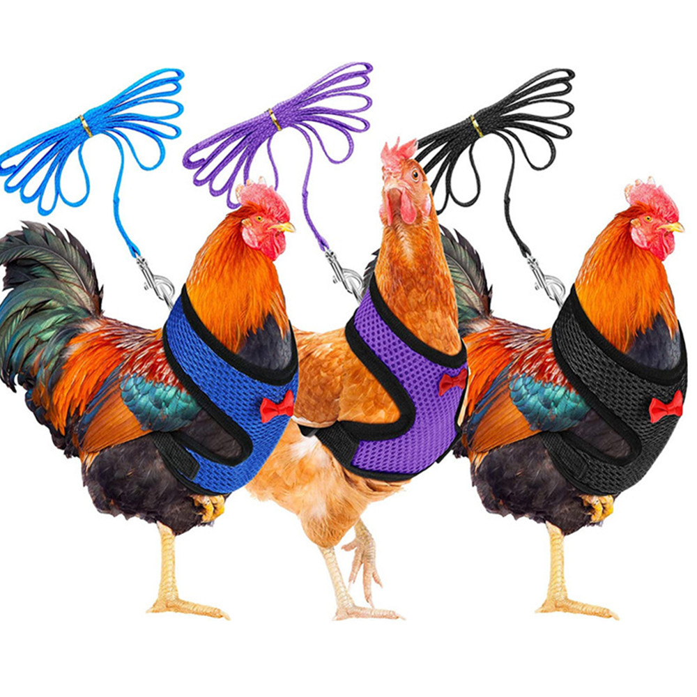 Breathable Chicken Leash and Harness Breathable Chicken Leash and Harness