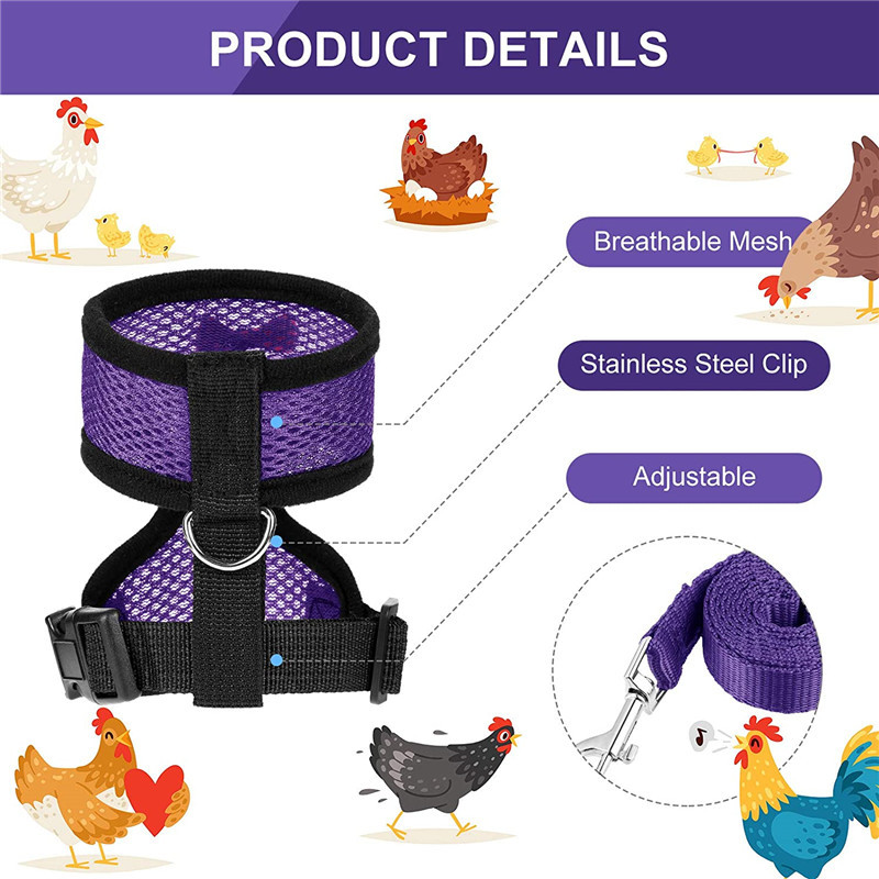 Breathable Chicken Leash and Harness Breathable Chicken Leash and Harness