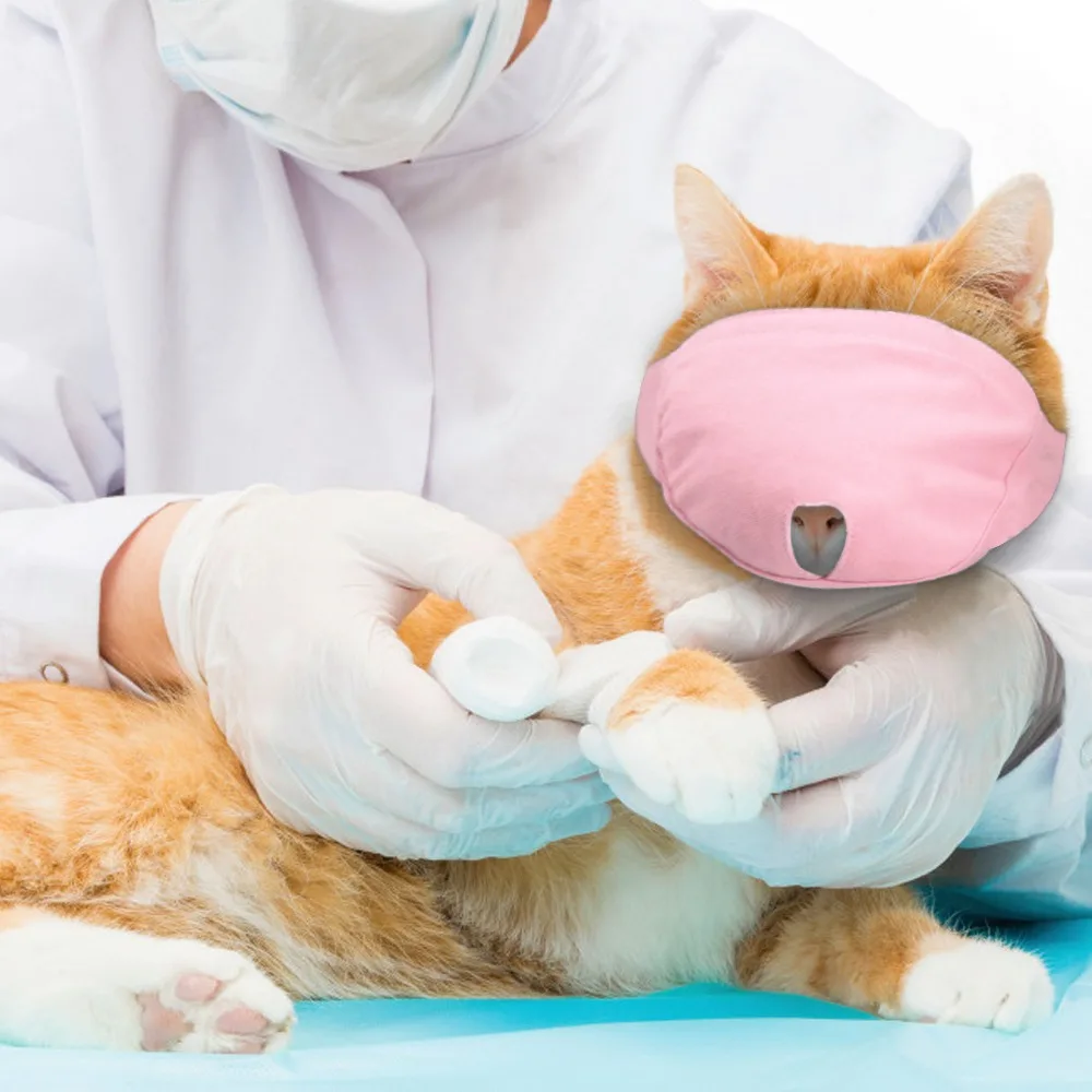 Breathable Nylon Cat Muzzles Kitten Face Masks Groomer Helpers Bath Anti-scratch Anti-Biting for Cat Grooming Tools Pet