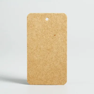 Brown Tags Kraft Paper Cards (100 Pcs)