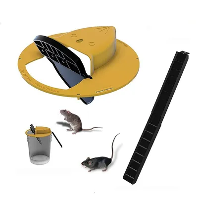 Bucket Lid Mouse Trap with Ramp