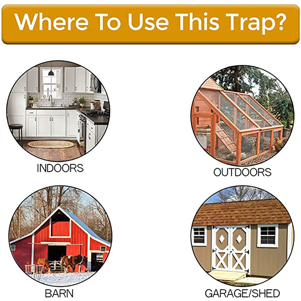 Bucket Lid Mouse Trap with Ramp
