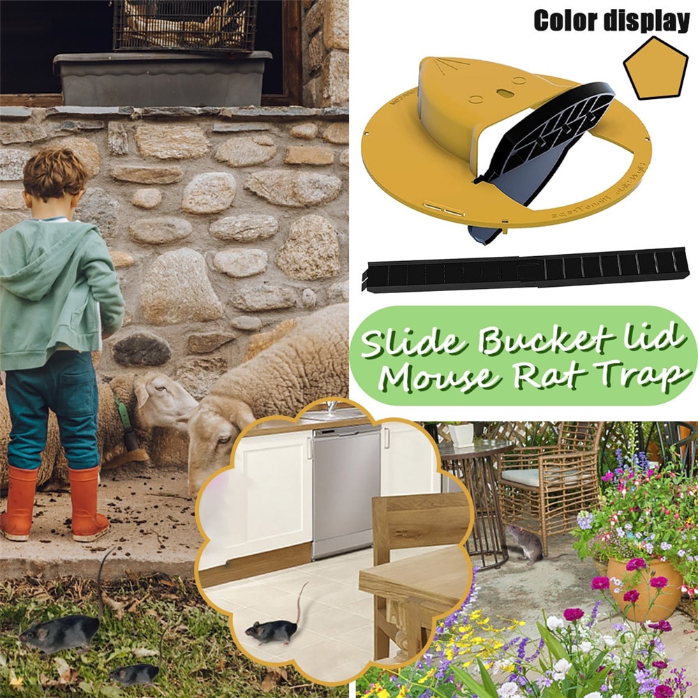 Bucket Lid Mouse Trap with Ramp