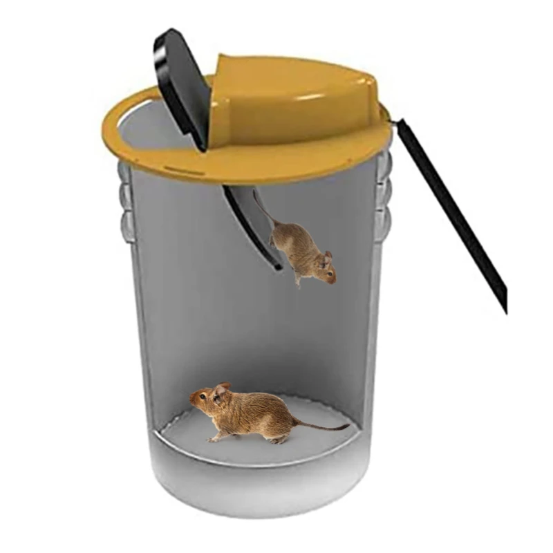 Bucket Lid Transform Bucket into a Safe and Effective Mouse Trap Bucket Lid Transform Bucket into a Safe and Effective Mouse Trap