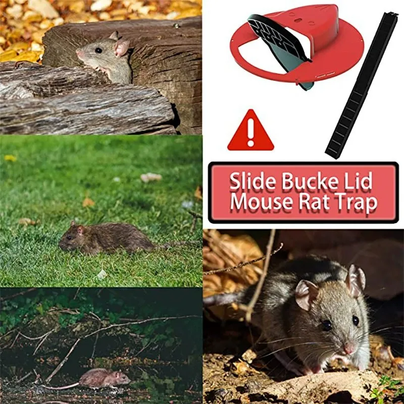 Bucket Lid Transform Bucket into a Safe and Effective Mouse Trap Bucket Lid Transform Bucket into a Safe and Effective Mouse Trap