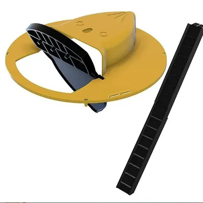Bucket Lid Transform Bucket into a Safe and Effective Mouse Trap Bucket Lid Transform Bucket into a Safe and Effective Mouse Trap