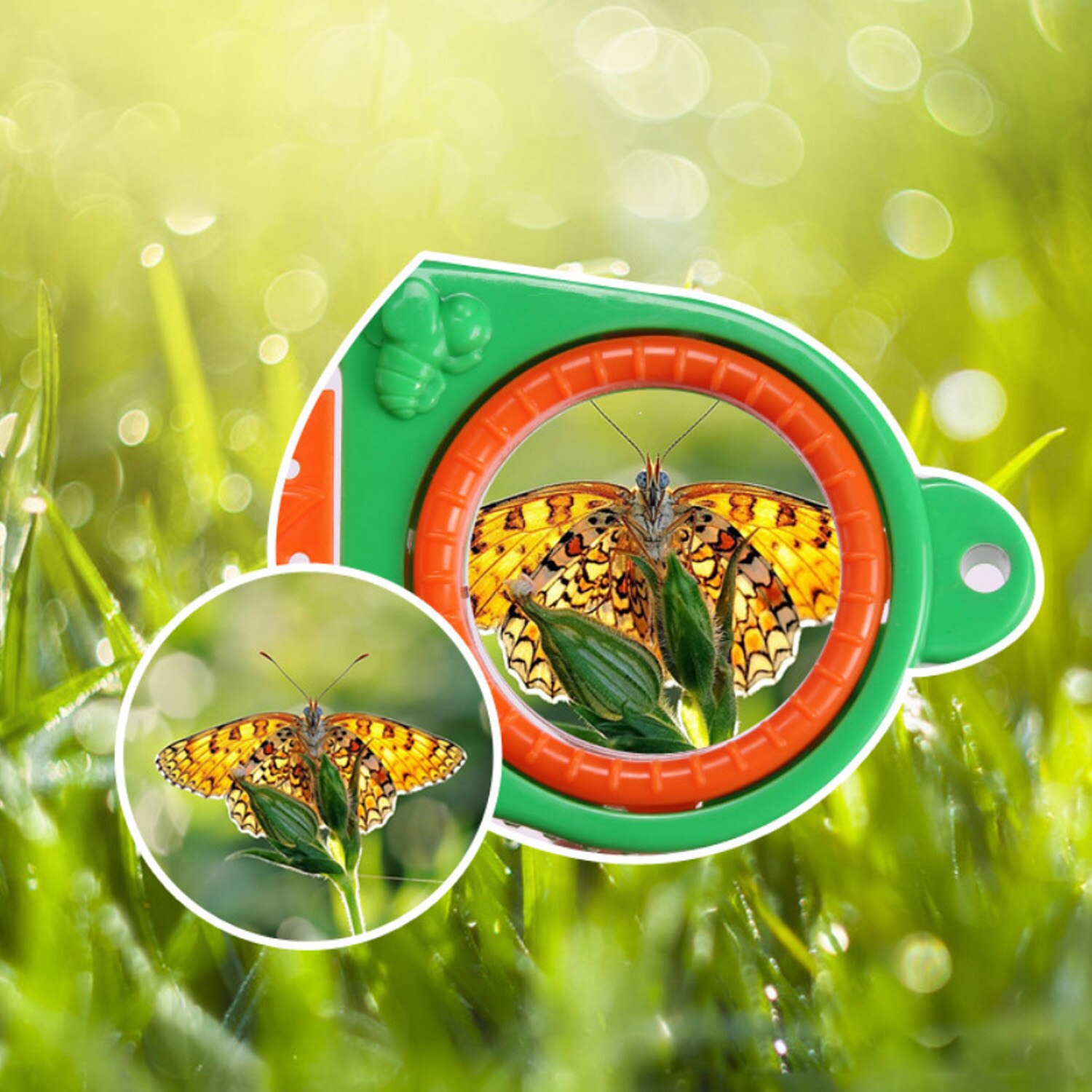 Bug Box Insect Catching Tool